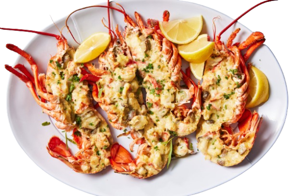 Lobster (grilled/fried)